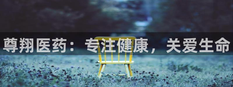 j9九游会合法吗