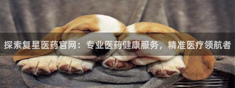 九游会平台网址