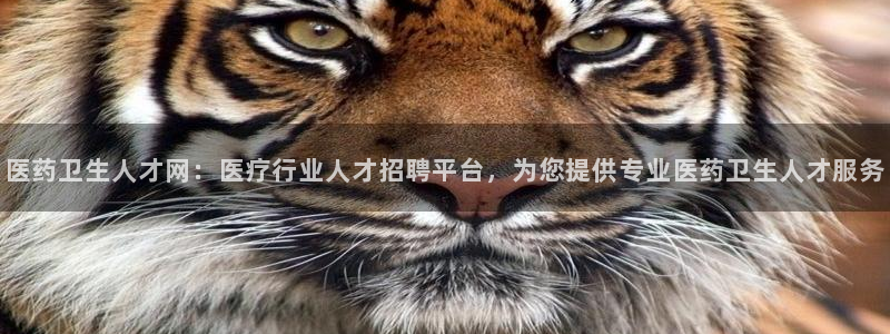 九游会中国官方网站