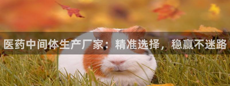 j9九游会真人第一品牌