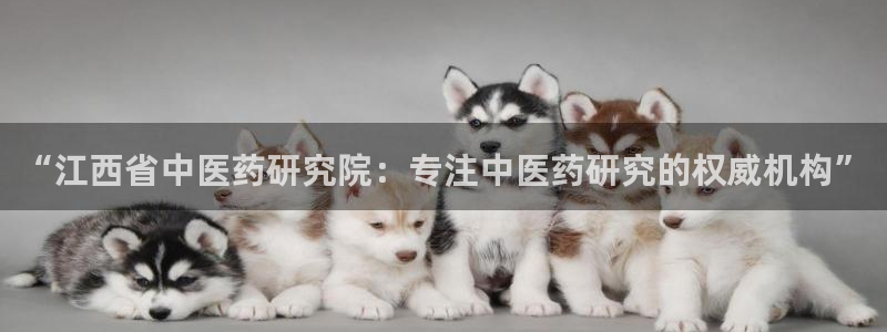 j9九游会官方网站国际怎么样