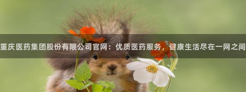 9游会app