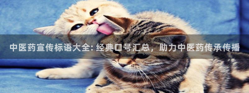 ag怎么变成九游会了