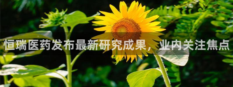 九游会是干嘛的