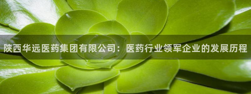九游会官网真人