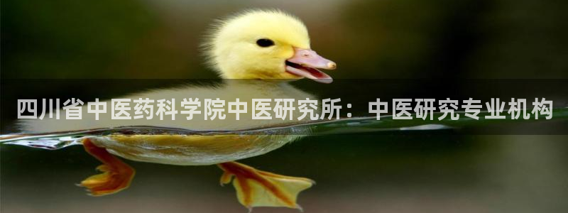 九游会ag真人官网在哪