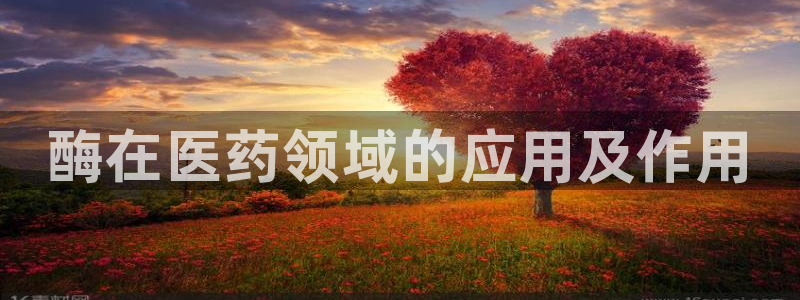 九游会老哥