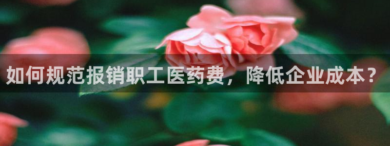 九游会提款快吗