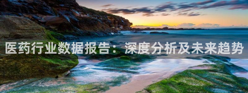九游会 ag