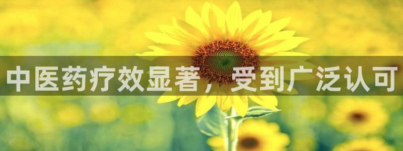 九游会平台登录不上