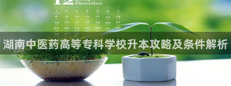 九游会国际站