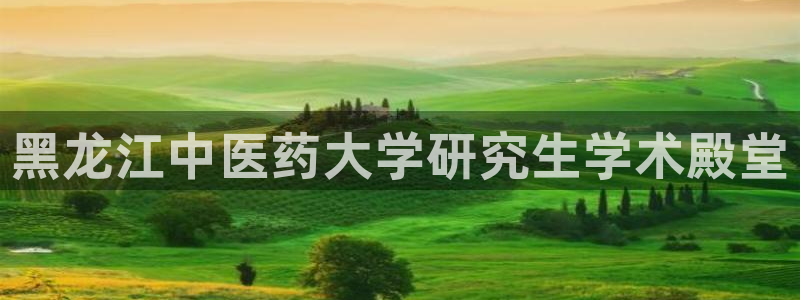 j9.cn