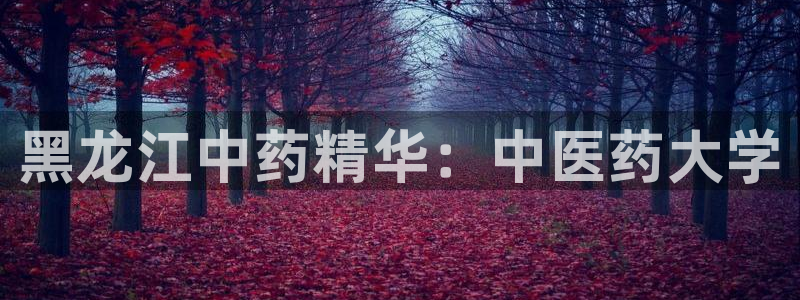 j9九游会网址