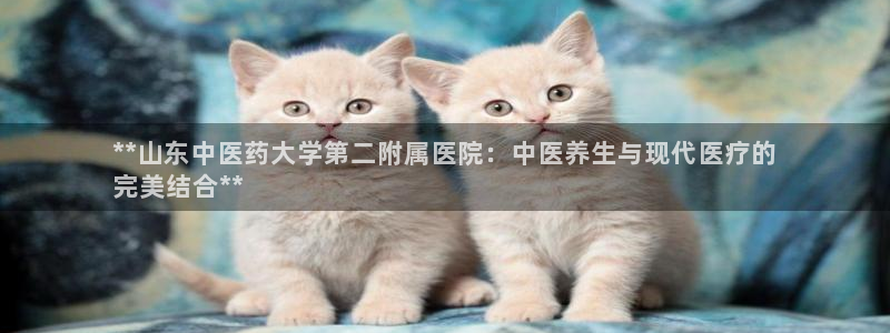 九游会账号登录网址