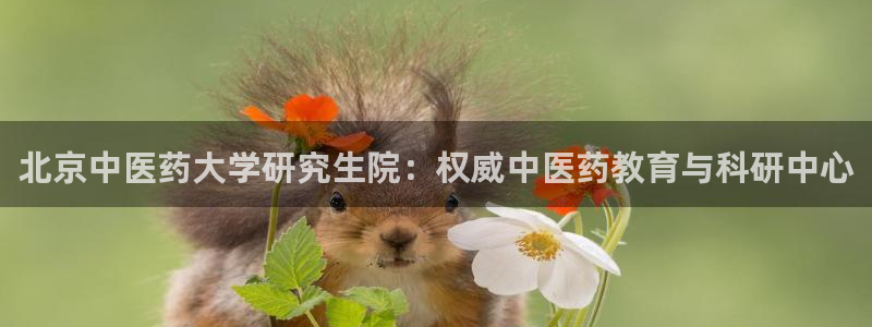 J9九游会老哥俱乐部官方