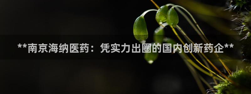 J9九游会国际站