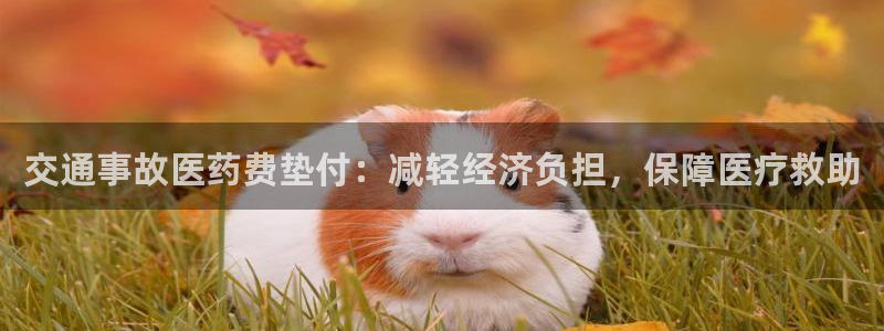ag久游会