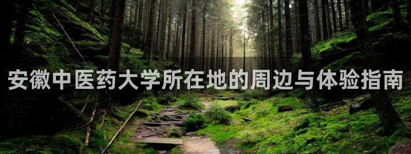 ag九游会论坛