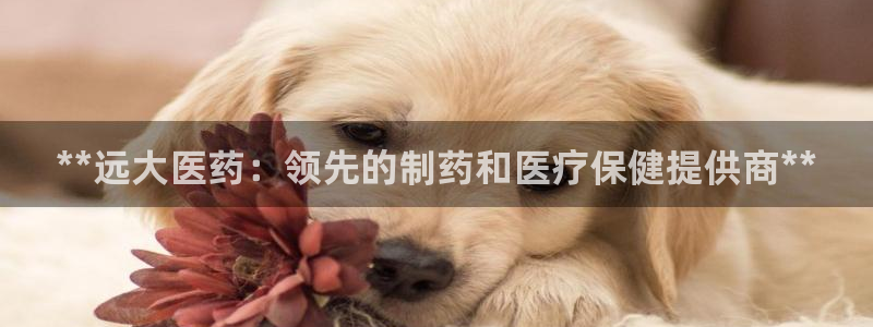 九游老哥俱乐部官方网站