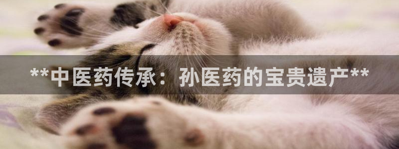 九游会官网进入口