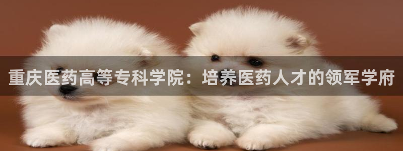 ag8亚洲九游会