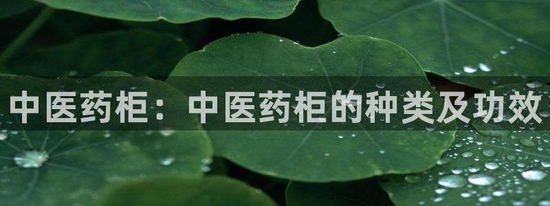 j9九游会下载