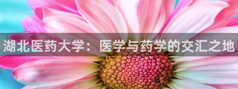 J9九游会官方平台