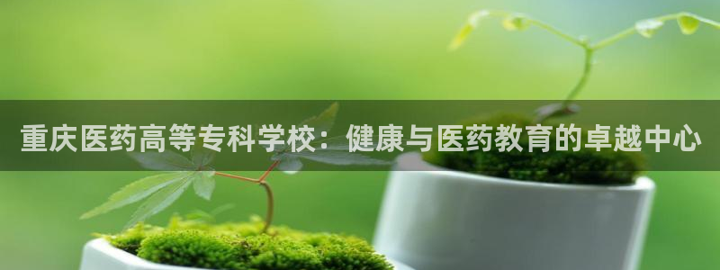 j9九游会官方网站