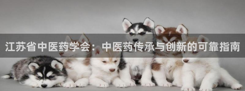 ag8亚洲九游会