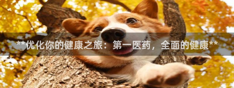 九游会ag真人官网|九游真人