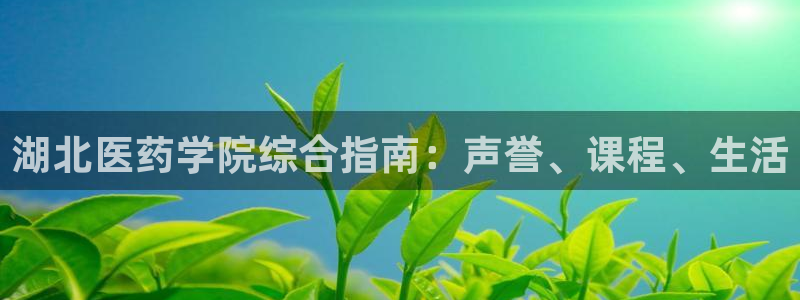 九游会是什么