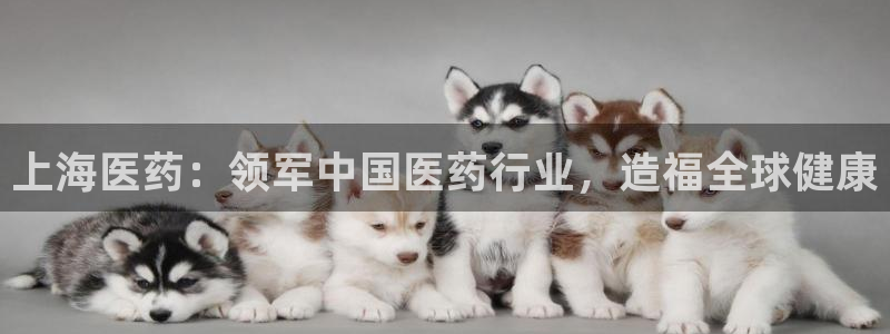 九游会AG登录中心(中国)官方网站