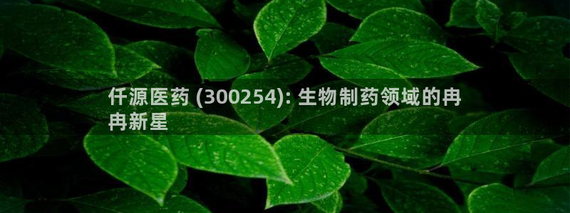 j9p下载