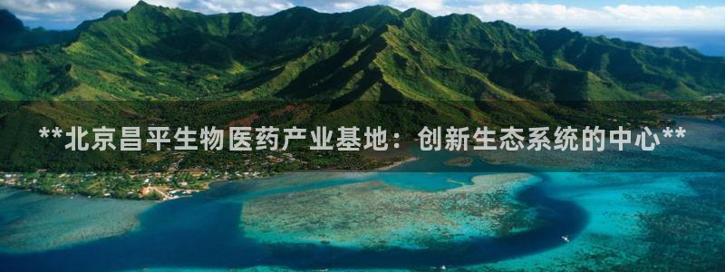 九游会是真的吗