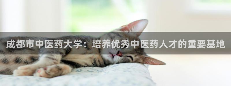 ag九游老哥俱乐部