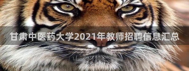 j9九游会登陆入口：