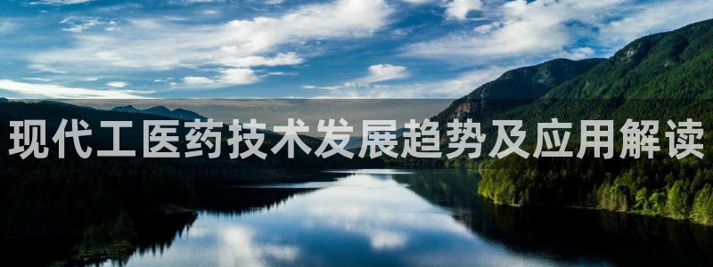 九游会ag真人官网在
