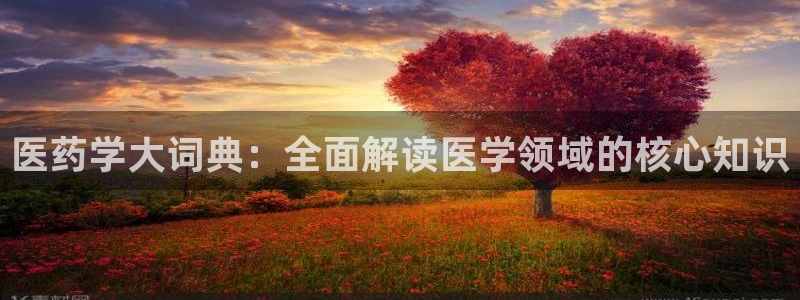 ag久游会