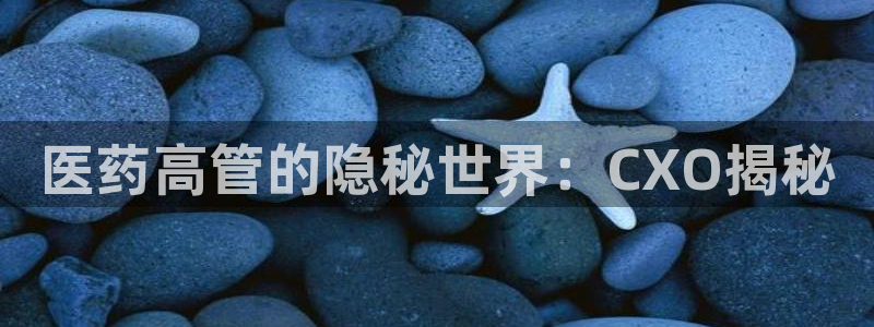 九游会官网贴吧