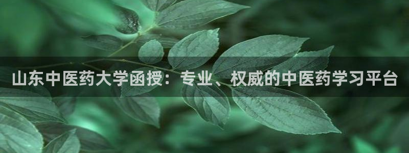 九游会官网j9