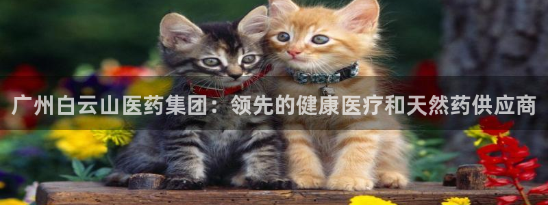 九游会j9登录官网