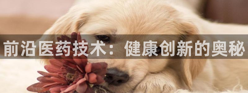 九游j9登录