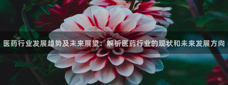 J9九游会能退款吗： 