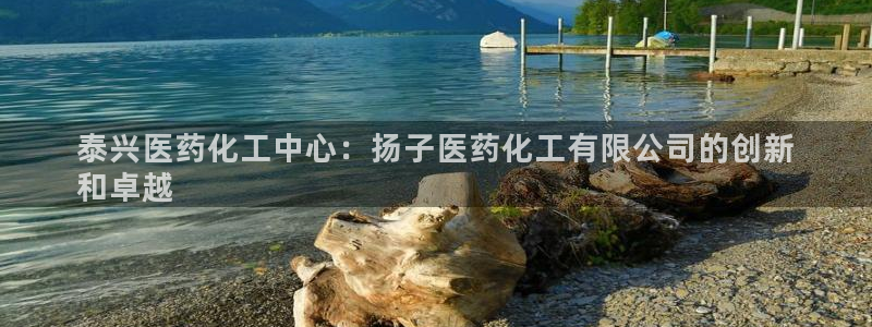 九游会ag官方网站