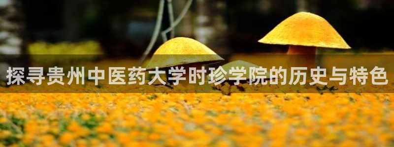 九游会网页：探寻贵州